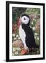 Puffin-Kirstie Adamson-Framed Giclee Print