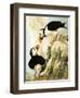 Puffin-R. Worr-Framed Giclee Print