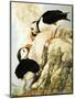 Puffin-R. Worr-Mounted Giclee Print