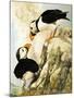 Puffin-R. Worr-Mounted Giclee Print
