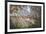 Puffing Billy 2-John Bradley-Framed Giclee Print