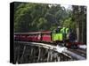 Puffing Billy Steam Train, Dandenong Ranges, near Melbourne, Victoria, Australia-David Wall-Stretched Canvas