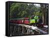 Puffing Billy Steam Train, Dandenong Ranges, near Melbourne, Victoria, Australia-David Wall-Framed Stretched Canvas