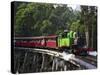 Puffing Billy Steam Train, Dandenong Ranges, near Melbourne, Victoria, Australia-David Wall-Stretched Canvas