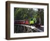 Puffing Billy Steam Train, Dandenong Ranges, near Melbourne, Victoria, Australia-David Wall-Framed Photographic Print