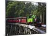 Puffing Billy Steam Train, Dandenong Ranges, near Melbourne, Victoria, Australia-David Wall-Mounted Photographic Print