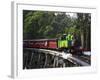 Puffing Billy Steam Train, Dandenong Ranges, near Melbourne, Victoria, Australia-David Wall-Framed Photographic Print