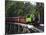 Puffing Billy Steam Train, Dandenong Ranges, near Melbourne, Victoria, Australia-David Wall-Mounted Photographic Print