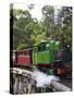 Puffing Billy Steam Train, Dandenong Ranges, near Melbourne, Victoria, Australia-David Wall-Stretched Canvas