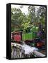 Puffing Billy Steam Train, Dandenong Ranges, near Melbourne, Victoria, Australia-David Wall-Framed Stretched Canvas