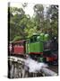 Puffing Billy Steam Train, Dandenong Ranges, near Melbourne, Victoria, Australia-David Wall-Stretched Canvas