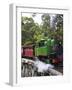 Puffing Billy Steam Train, Dandenong Ranges, near Melbourne, Victoria, Australia-David Wall-Framed Photographic Print