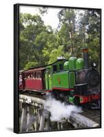 Puffing Billy Steam Train, Dandenong Ranges, near Melbourne, Victoria, Australia-David Wall-Framed Photographic Print