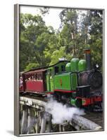 Puffing Billy Steam Train, Dandenong Ranges, near Melbourne, Victoria, Australia-David Wall-Framed Photographic Print