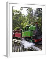 Puffing Billy Steam Train, Dandenong Ranges, near Melbourne, Victoria, Australia-David Wall-Framed Photographic Print