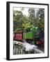 Puffing Billy Steam Train, Dandenong Ranges, near Melbourne, Victoria, Australia-David Wall-Framed Photographic Print