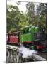 Puffing Billy Steam Train, Dandenong Ranges, near Melbourne, Victoria, Australia-David Wall-Mounted Photographic Print