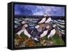 Puffins, 2000-Lisa Graa Jensen-Framed Stretched Canvas