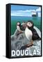 Puffins & Cruise Ship, Douglas, Alaska-Lantern Press-Framed Stretched Canvas