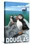 Puffins & Cruise Ship, Douglas, Alaska-Lantern Press-Stretched Canvas