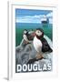 Puffins & Cruise Ship, Douglas, Alaska-Lantern Press-Framed Art Print