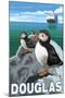 Puffins & Cruise Ship, Douglas, Alaska-Lantern Press-Mounted Art Print