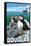 Puffins & Cruise Ship, Douglas, Alaska-Lantern Press-Framed Stretched Canvas