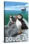 Puffins & Cruise Ship, Douglas, Alaska-Lantern Press-Stretched Canvas