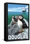 Puffins & Cruise Ship, Douglas, Alaska-Lantern Press-Framed Stretched Canvas