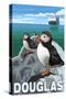 Puffins & Cruise Ship, Douglas, Alaska-Lantern Press-Stretched Canvas