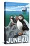 Puffins & Cruise Ship, Juneau, Alaska-Lantern Press-Stretched Canvas