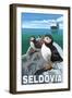 Puffins & Cruise Ship, Seldovia, Alaska-Lantern Press-Framed Art Print