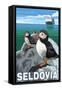 Puffins & Cruise Ship, Seldovia, Alaska-Lantern Press-Framed Stretched Canvas