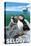 Puffins & Cruise Ship, Seldovia, Alaska-Lantern Press-Stretched Canvas