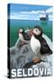 Puffins & Cruise Ship, Seldovia, Alaska-Lantern Press-Stretched Canvas