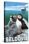 Puffins & Cruise Ship, Seldovia, Alaska-Lantern Press-Stretched Canvas