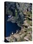 Puffins on Cliffs, Hermaness Nature Reserve, Unst, Shetland Islands, Scotland, UK-Patrick Dieudonne-Stretched Canvas