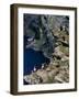 Puffins on Cliffs, Hermaness Nature Reserve, Unst, Shetland Islands, Scotland, UK-Patrick Dieudonne-Framed Photographic Print