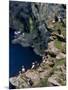 Puffins on Cliffs, Hermaness Nature Reserve, Unst, Shetland Islands, Scotland, UK-Patrick Dieudonne-Mounted Photographic Print