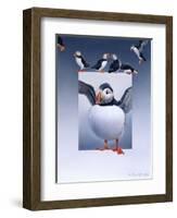 Puffins-Harro Maass-Framed Giclee Print