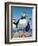 Puffins-R. B. Davis-Framed Giclee Print