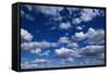 Puffy White Clouds in a Blue Sky-Rick Doyle-Framed Stretched Canvas