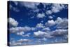 Puffy White Clouds in a Blue Sky-Rick Doyle-Stretched Canvas