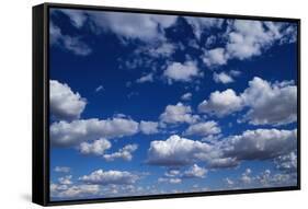 Puffy White Clouds in a Blue Sky-Rick Doyle-Framed Stretched Canvas