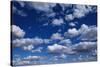 Puffy White Clouds in a Blue Sky-Rick Doyle-Stretched Canvas