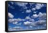 Puffy White Clouds in a Blue Sky-Rick Doyle-Framed Stretched Canvas