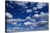 Puffy White Clouds in a Blue Sky-Rick Doyle-Stretched Canvas