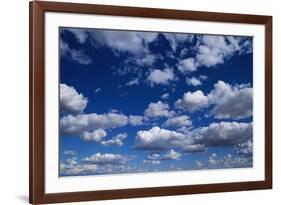 Puffy White Clouds in a Blue Sky-Rick Doyle-Framed Photographic Print