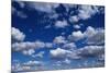 Puffy White Clouds in a Blue Sky-Rick Doyle-Mounted Photographic Print