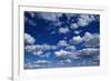 Puffy White Clouds in a Blue Sky-Rick Doyle-Framed Photographic Print